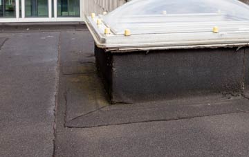 disadvantages of Peter Tavy flat roofs