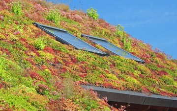 Peter Tavy living roof systems