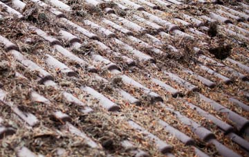 Peter Tavy roof cleaning companies