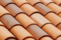 Peter Tavy clay roofing